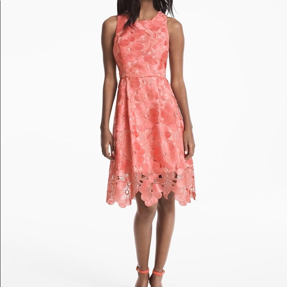 WHBM lace fit and flare dress